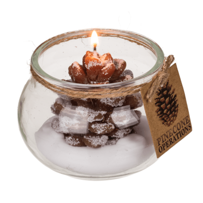 Candle, pinecone,