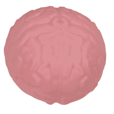 Cerebro XL Squeeze, 15