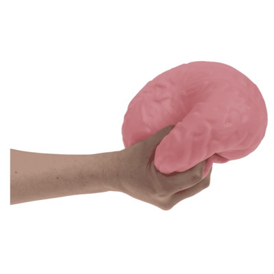 Cerebro XL Squeeze, 15