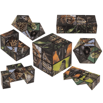 Cube magique, Animaux sauvages,