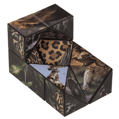 Cube magique, Animaux sauvages,