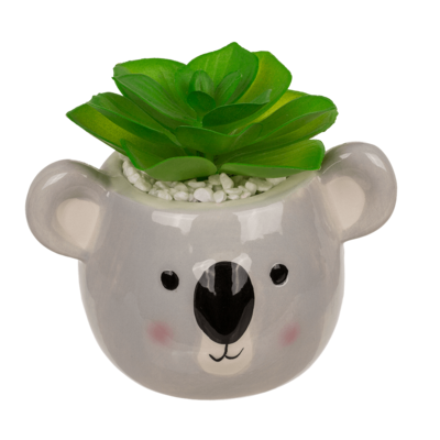 Deco succulents in ceramic pot,