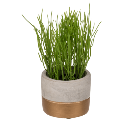 Decoration herbs in grey/gold coloured cement pot,