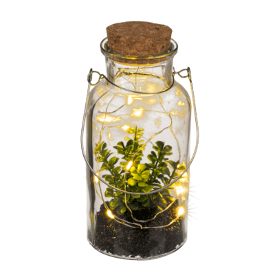 Decoration plant in glass for hanging &