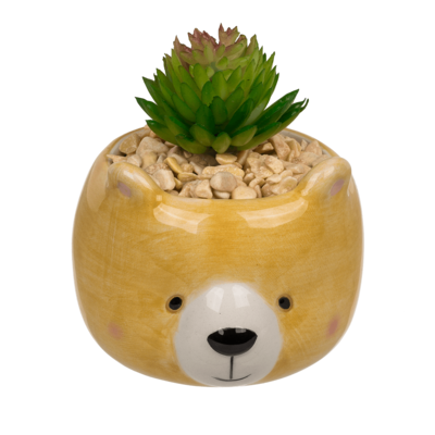 Decoration succulent in pot, Animals,
