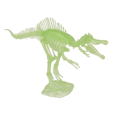 DIY Dinosaur Skeleton Assembly Kit, approx. 10 cm,