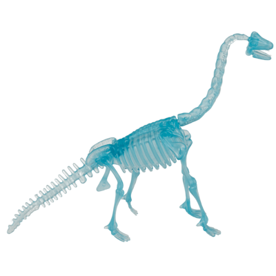 DIY Dinosaurier-Skelett-Bausatz, ca. 10 cm,