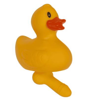 Duck with dick, X cm,