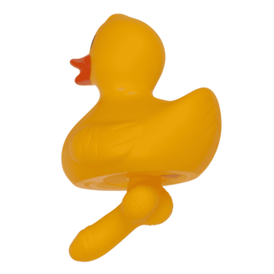 Duck with dick, X cm,