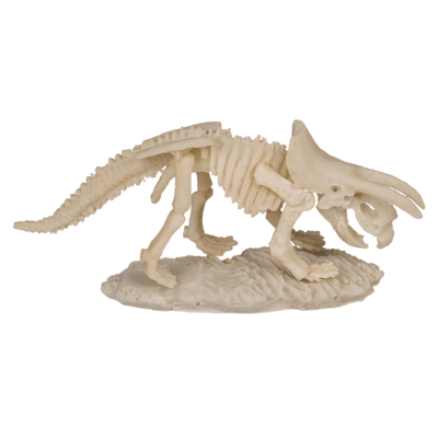 Excavation kit, Dinosaur Skeleton,