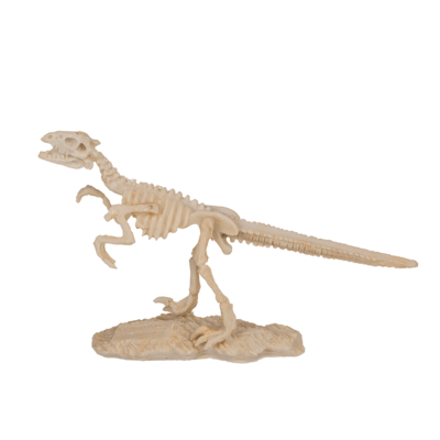 Excavation kit, Dinosaur Skeleton,