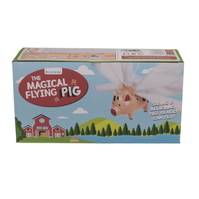 Flying Pig, 28,5 x 7 x 20 cm,