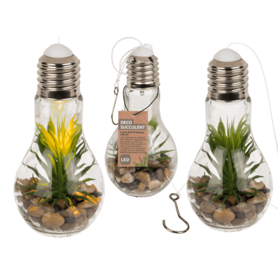 Glass bulb for hanging,