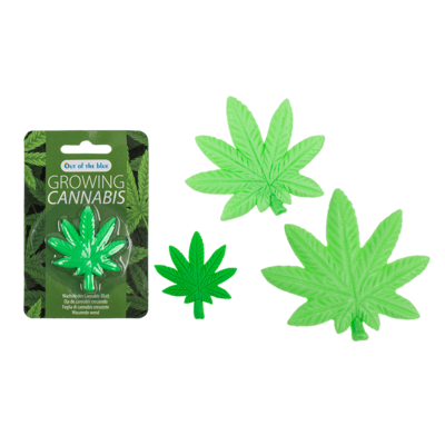 Growing cannabis leaf,