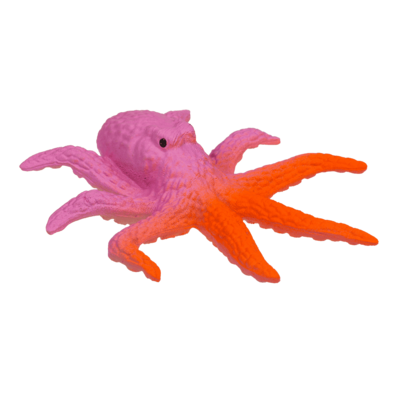 Growing Sea Animals, 10 cm,