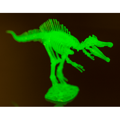 Kit de montaje de esqueleto de dinosaurio DIY,,