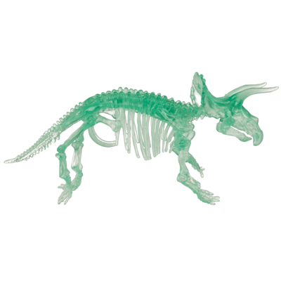 Kit di montaggio dello scheletro di dinosauro fai,