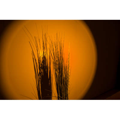 Lampe, Sunset, env. 29 cm, LED: 7W,