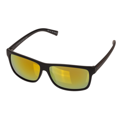 Lunettes du soleil pour hommes,