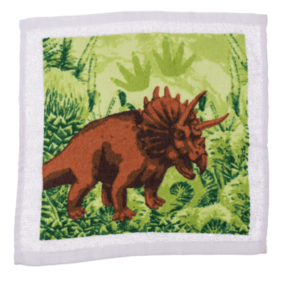 Magic cotton towel, Dinosaur,
