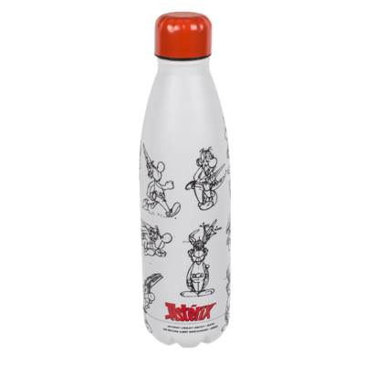 Metal drinking bottle, Asterix,