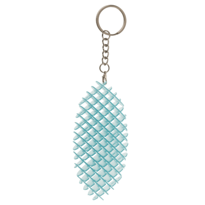 Metal keychain, Sensory Worm,