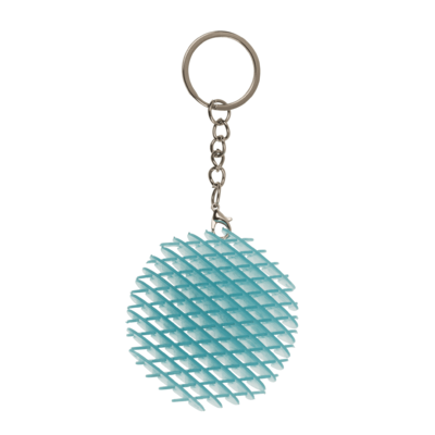 Metal keychain, Sensory Worm,