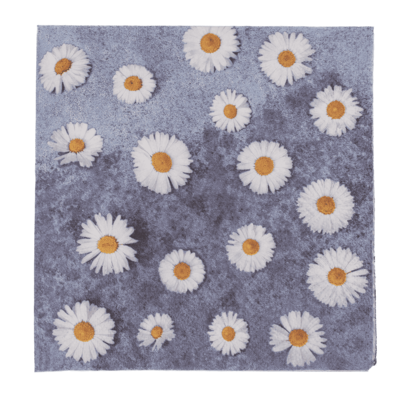 Paper napkins, Daisy Flowers,