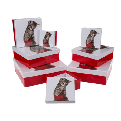 Red/white gift boxes, Cat,
