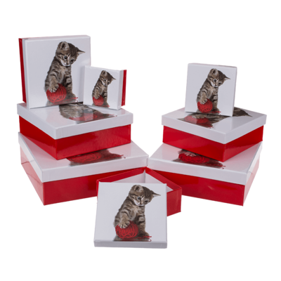 Red/white gift boxes, Cat,