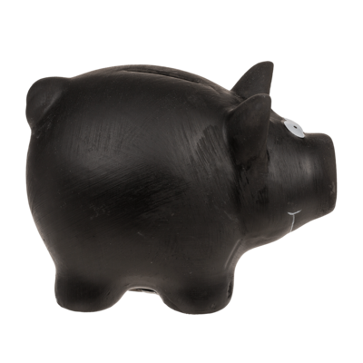 Black pig toy online