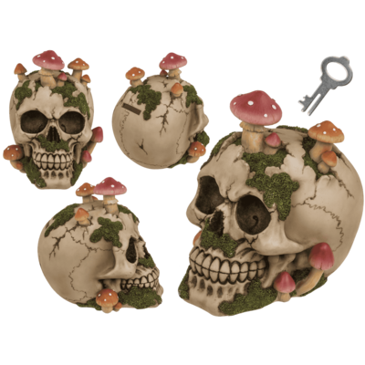 Savings bank with lock,Skull with mushroom growth,