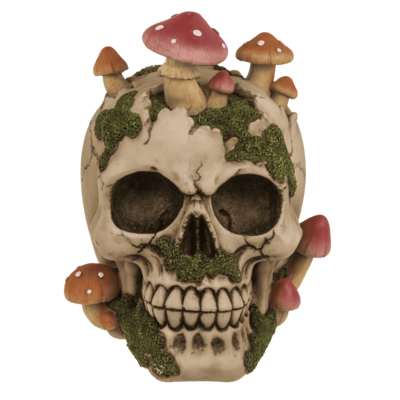 Savings bank with lock,Skull with mushroom growth,