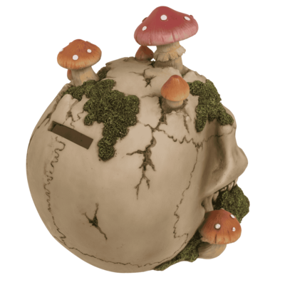 Savings bank with lock,Skull with mushroom growth,