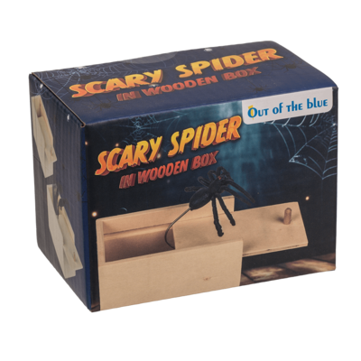 Scary spider in wooden box,