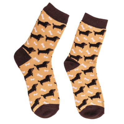 Socks, Dachshund, size 36-42,