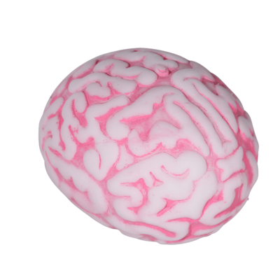 Squeeze ball, Brain,