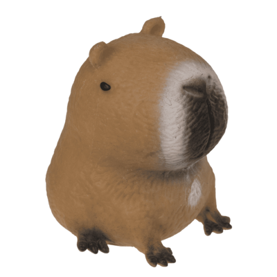 Squeezie Sand, Capibara di circa 6