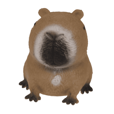 Squeezie Sand, Capybara