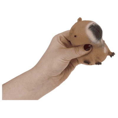 Squeezie Sand, Capybara