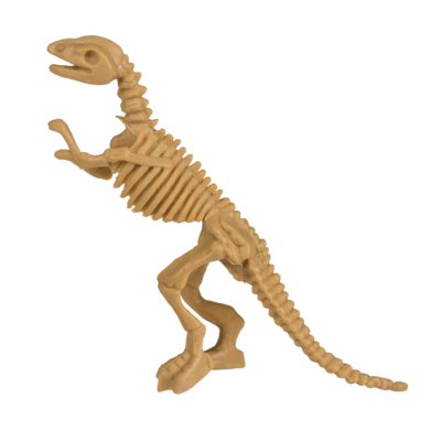 Squelette Dino à gratter PM, ca. 4 x 8 cm,