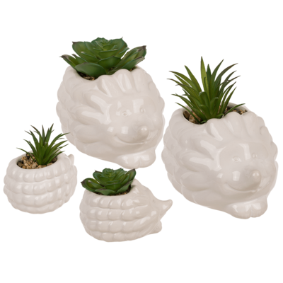 Succulenti decorativi in plastica,