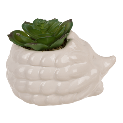 Succulenti decorativi in plastica,