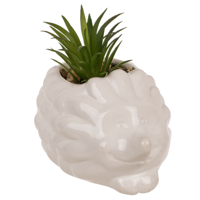 Succulenti decorativi in plastica,