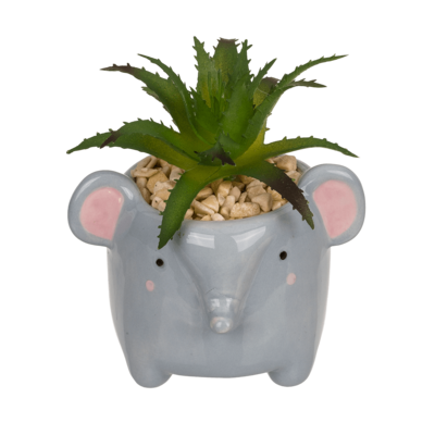 Succulenti decorativi in vasetto, Animali,