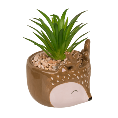 Succulenti decorativi in vasetto, Animali,