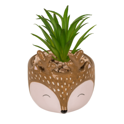 Succulenti decorativi in vasetto, Animali,