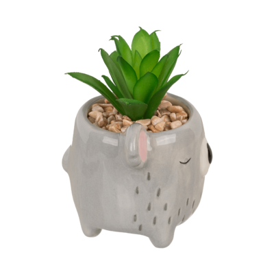 Succulenti decorativi in vasetto, Animali,