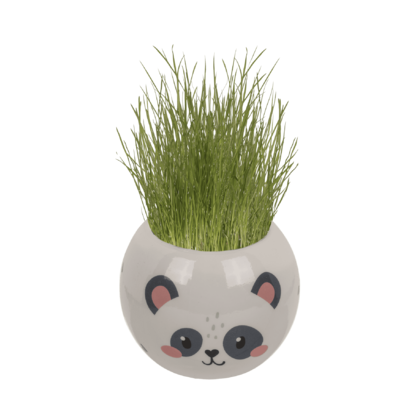 Tête d'herbe, Kawaii