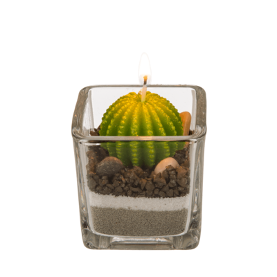 Vela en vaso, Cactus con piedras y arena,